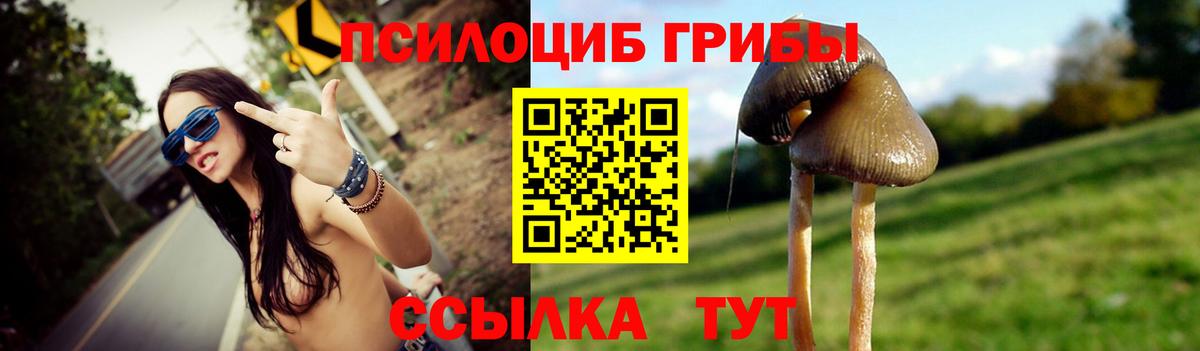 Галлюциногенные грибы Psilocybine cubensis  Галлюциногенные грибы GOLDEN TEACHER  Вход с VPN  Рославль 